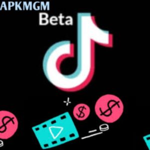 TikTok Beta