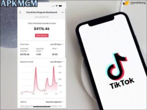 TikTok Beta