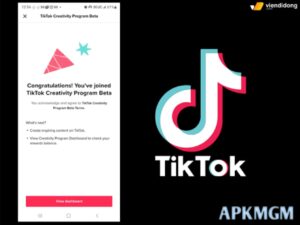 TikTok Beta